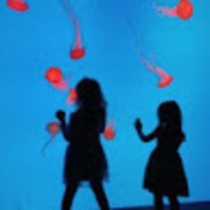 Meet your Posher, Karin